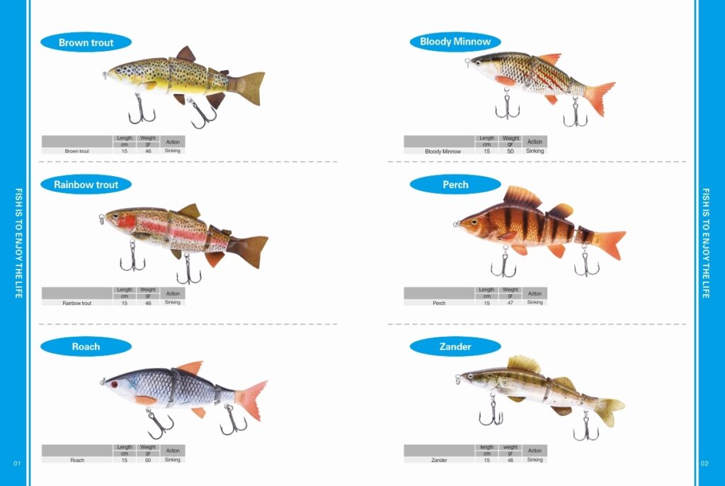 Hard bait product view 02